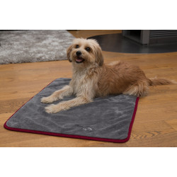 TrendPet  Ruby   Сушильное одеяло для собак (90х65см)