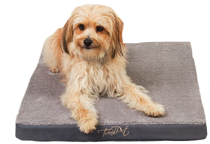TrendPet  VitaMeDog  ортопедический серый 50x35см